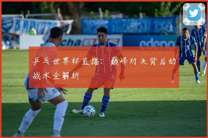 乒乓世界杯直播：巅峰对决背后的战术全解析