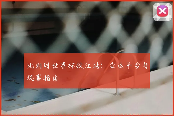 比利时世界杯投注站：合法平台与观赛指南