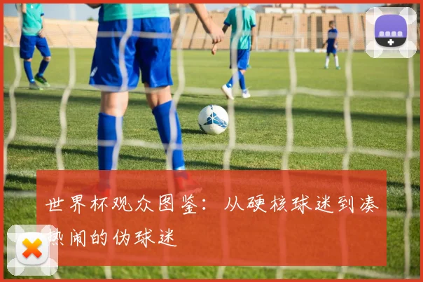世界杯观众图鉴：从硬核球迷到凑热闹的伪球迷