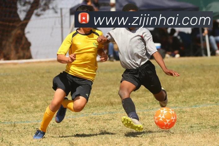 App Interface Preview