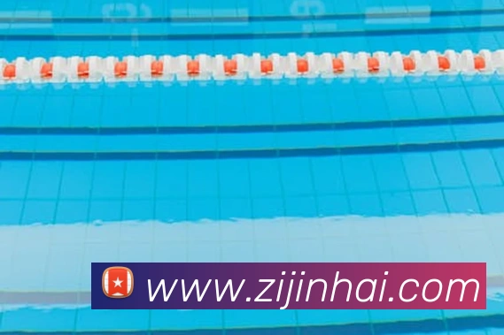 米兰体育网页官网APP 封面图